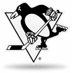 3D chróm znak na auto NHL Pittsburgh Penguins