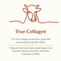 Ancient + Brave Cacao + Grass Fed Collagen 250 g