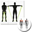 Bandáž Schildkröt  Exercise Band