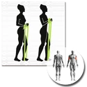 Bandáž Schildkröt  Exercise Band