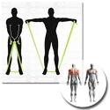 Bandáž Schildkröt  Exercise Band