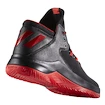 Basketbalová obuv adidas D Rose Menace 2