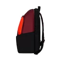 Batoh na rakety Dunlop   CX Performance Backpack Black/Red 2024