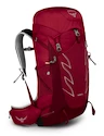 Batoh OSPREY  Talon 33 III Cosmic Red