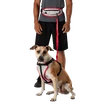 Bežecký opasok Nathan  K9 Series Runner's Waistpack With Leash