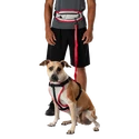 Bežecký opasok Nathan  K9 Series Runner's Waistpack With Leash
