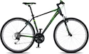Bicykel 4EVER ENERGY šedo-zelený