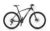 Bicykel 4EVER  FIRETRACK TEAM 29" černá/stříbrná 2021