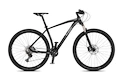 Bicykel 4EVER  FIRETRACK TEAM 29" černá/stříbrná 2021