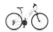 Bicykel 4EVER  FLAME 2 bílá/metal stříbrná 2021