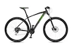 Bicykel 4EVER  GRAFFITI 2 29" černá/zelená 2021