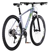 Bicykel 4EVER NEONNFLY 29" strieborná/fialová
