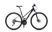 Bicykel 4EVER  PULSE DISC 1 fialová 2021