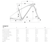 Bicykel Mondraker  Chrono Carbon RR