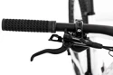 Bicykel Rock Machine  Torrent 50-29