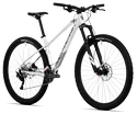 Bicykel Rock Machine  Torrent 50-29