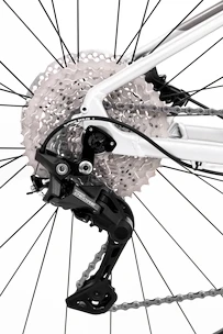 Bicykel Rock Machine  Torrent 50-29