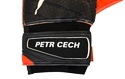 Brankárske rukavice Puma evoPOWER Grip 2.3 GC s originálnym podpisom Petra Čecha