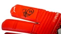 Brankárske rukavice Puma evoPower Grip 2.3 RC s originálnym podpisom Petra Čecha