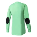 Brankársky dres adidas  Assita 17 GK Junior