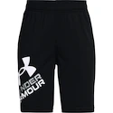 Chlapčenské šortky Under Armour  Prototype 2.0 Logo Shorts black S
