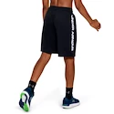 Chlapčenské Šortky Under Armour Prototype Wordmark Shorts čierne