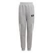 Chlapčenské tepláky adidas  Future Icons 3-Stripes Tapered-Leg Pants Medium Grey Heather