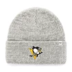 Čiapka na zimu 47 Brand Brain Freeze NHL Pittsburgh Penguins