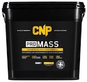CNP Pro Mass 4500 g