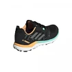 Dámska bežecká obuv adidas  Terrex Agravic GTX Core Black