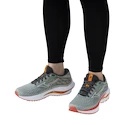 Dámska bežecká obuv Mizuno  Wave Inspire 20 Gray Mist/White/Dubarry