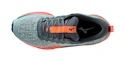 Dámska bežecká obuv Mizuno  Wave Rider Tt Lead/Carrot Curl/Nasturtium