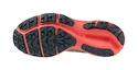 Dámska bežecká obuv Mizuno  Wave Rider Tt Lead/Carrot Curl/Nasturtium