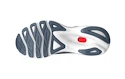 Dámska bežecká obuv Mizuno  Wave Skyrise 4 Wisteria/White/China Blue