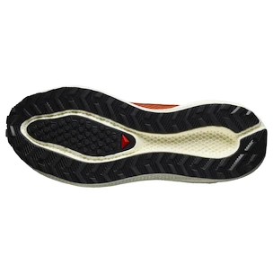 Dámska bežecká obuv Salomon Aero Blaze 3 GRVL Burnt Ochre/Vanilla Ice/Vanilla Ice   UK 9