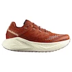 Dámska bežecká obuv Salomon Aero Glide 3 GRVL Burnt Ochre/Vanilla Ice/Etherea