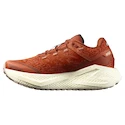 Dámska bežecká obuv Salomon Aero Glide 3 GRVL Burnt Ochre/Vanilla Ice/Etherea
