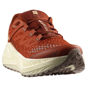 Dámska bežecká obuv Salomon Aero Glide 3 GRVL Burnt Ochre/Vanilla Ice/Etherea