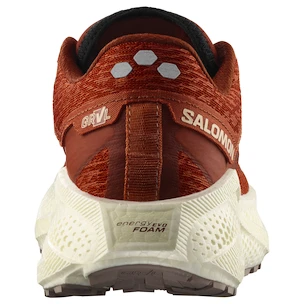 Dámska bežecká obuv Salomon Aero Glide 3 GRVL Burnt Ochre/Vanilla Ice/Etherea
