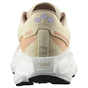 Dámska bežecká obuv Salomon Aero Glide 3 GRVL Shortbread/White/Fusion Coral