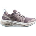 Dámska bežecká obuv Salomon Glide Max W Moonscape