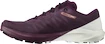 Dámska bežecká obuv Salomon Sense 4  PRO W Plum Caspia