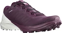 Dámska bežecká obuv Salomon Sense 4  PRO W Plum Caspia