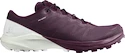 Dámska bežecká obuv Salomon Sense 4  PRO W Plum Caspia