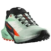 Dámska bežecká obuv Salomon Sense Ride 5 Bay/Black/Cherry Tomato