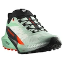 Dámska bežecká obuv Salomon Sense Ride 5 Bay/Black/Cherry Tomato