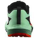 Dámska bežecká obuv Salomon Sense Ride 5 Bay/Black/Cherry Tomato