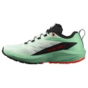 Dámska bežecká obuv Salomon Sense Ride 5 Bay/Black/Cherry Tomato