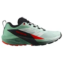 Dámska bežecká obuv Salomon Sense Ride 5 Bay/Black/Cherry Tomato