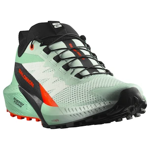 Dámska bežecká obuv Salomon Sense Ride 5 Bay/Black/Cherry Tomato
